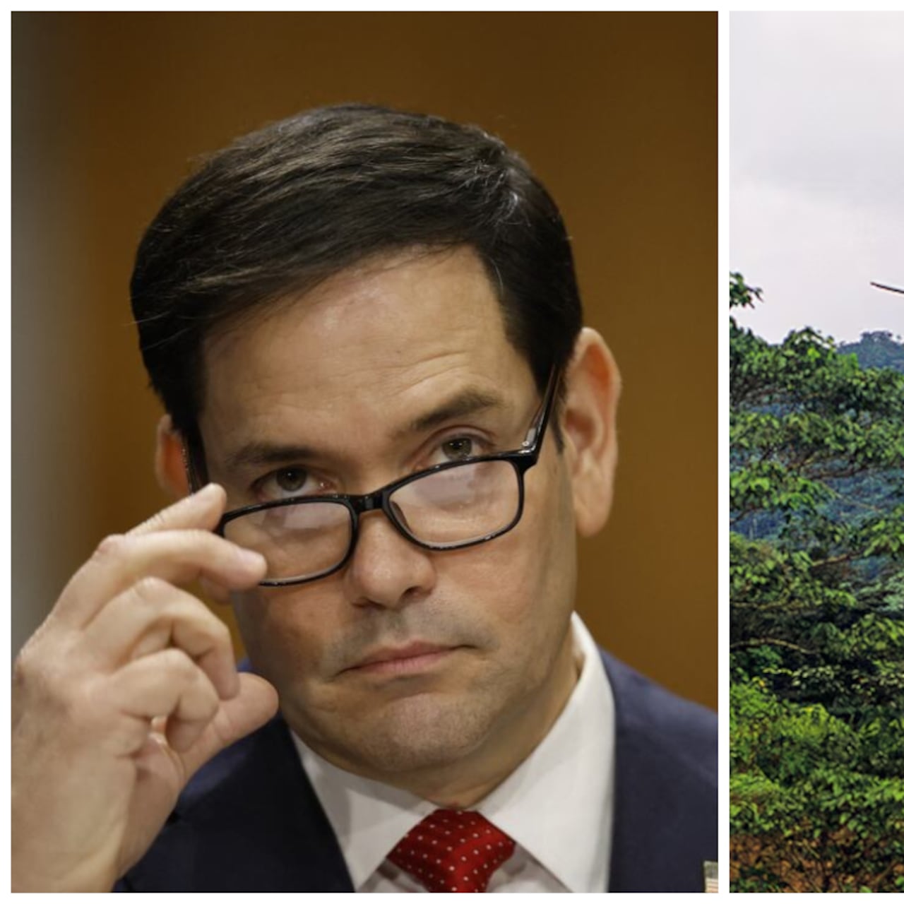 Congresistas de EE. UU. envían carta a Marco Rubio para rechazar reactivación de aspersión aérea de cultivos de coca en Colombia