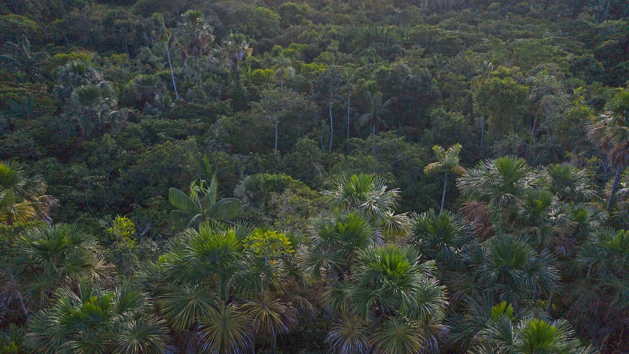 ANLA avala el cierre de inversión ambiental de $7.300 millones de Ocensa en el Meta